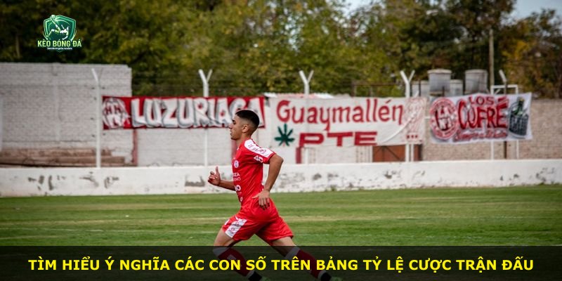 Tìm hiểu ý nghĩa các con số trên bảng tỷ lệ cược trận đấu