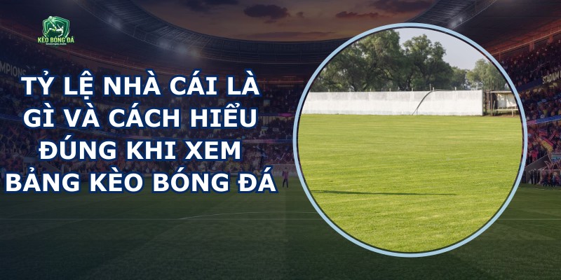 Tỷ Lệ Nhà Cái